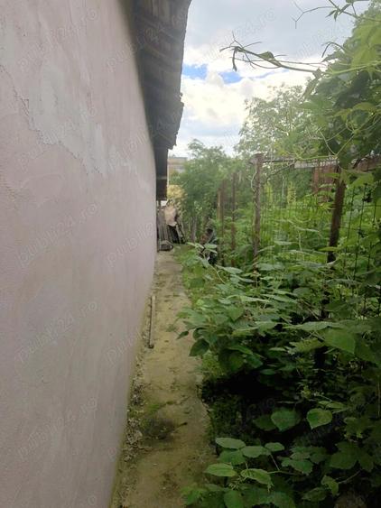 Teren intravilan cu casa batraneasca in Caldararu Ilfov - 5