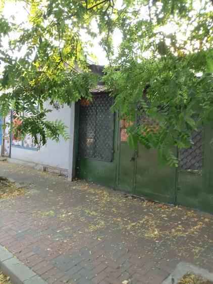 Vind Locuin?a curte + 2 spatii comerciale +terenuri curte) 110 mp - 1