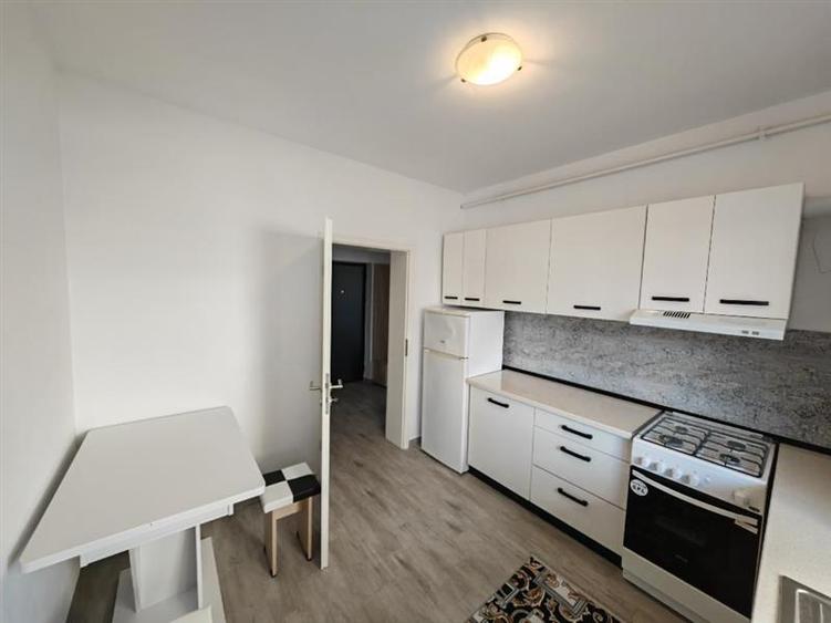 Inchiriem Apartament 2 Camere, Gradina 157 Mp, Mobilat, Decomandat, Sanpetru - 9