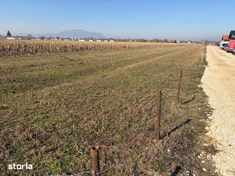 S.C. Vimak Imobiliare vinde teren intravilan Stupini - 7