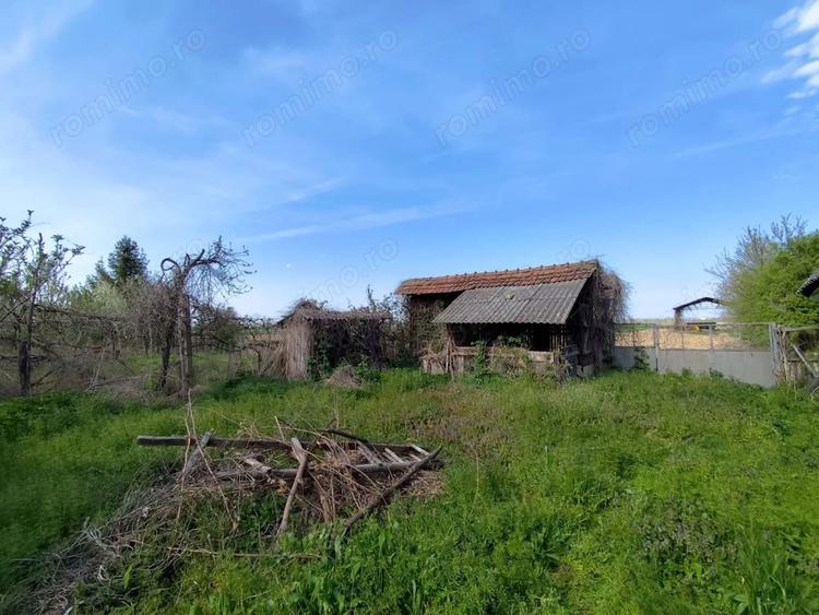 Casă cu 4 camere cu Teren 4122 Mp în Petid