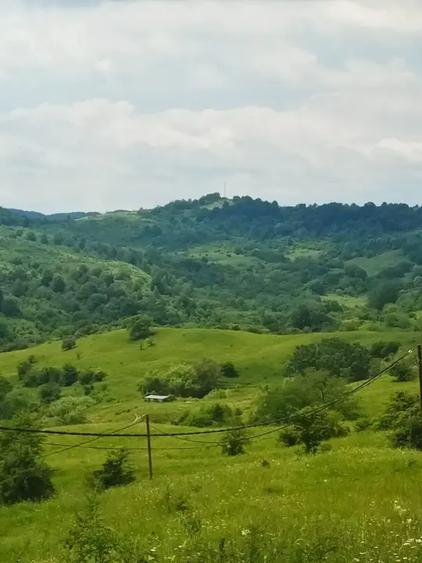 Teren intravilan de 46800 mp, în Gura Beliei