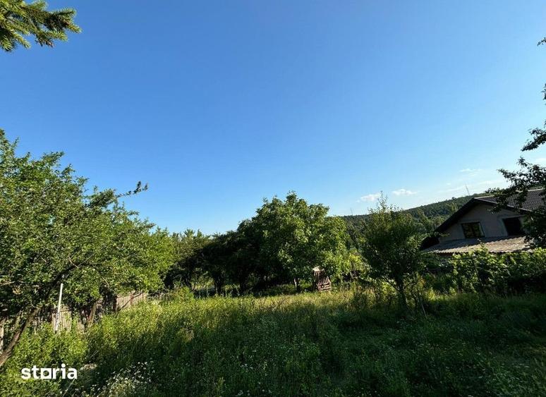 Teren de 2540 mp, în Miroslava