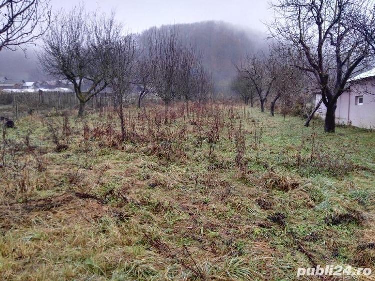 Teren în Bezdead