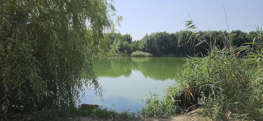 Casă cu Teren 1056 Mp în Petrăchioaia