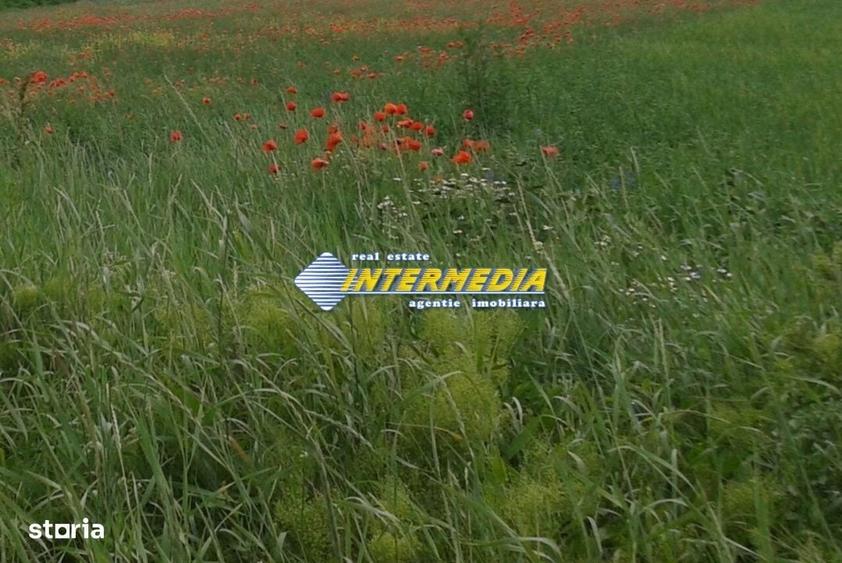 Teren intravilan 600 mp - 1800 mp zona Valea Popi - 2