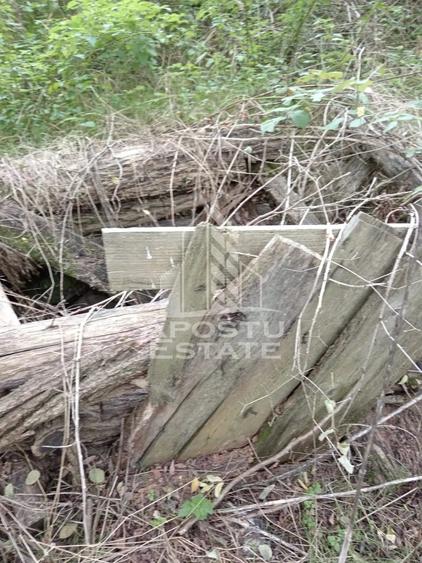 Teren de 3260 mp, în Cuied