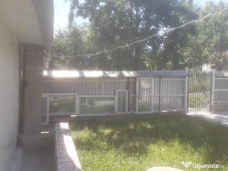 Casa pe parter Zona Bosanci - 10