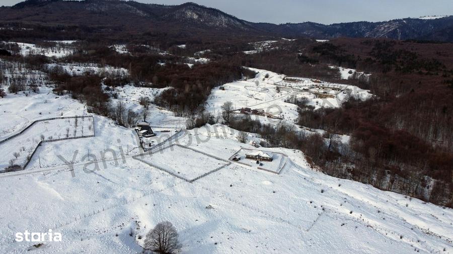 Casă cu 5 camere cu Teren 2000 Mp în Nucșoara