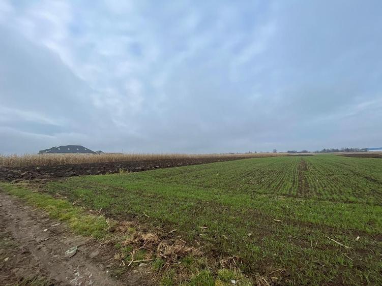 Teren agricol extravilan de 1300 mp, în Marginea