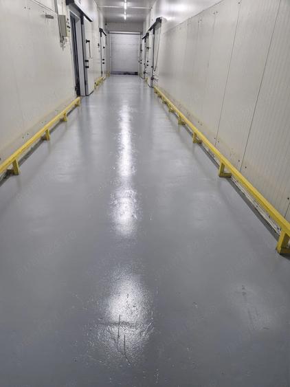 Depozit frig congelate Constanta Ovidiu - 5