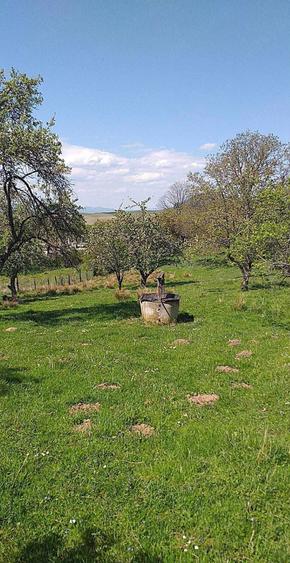 Casa de vanzare - 1