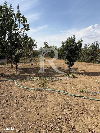 Teren de 521 mp, în Paleu