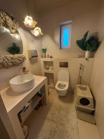 Casă cu 3 camere în Coltău