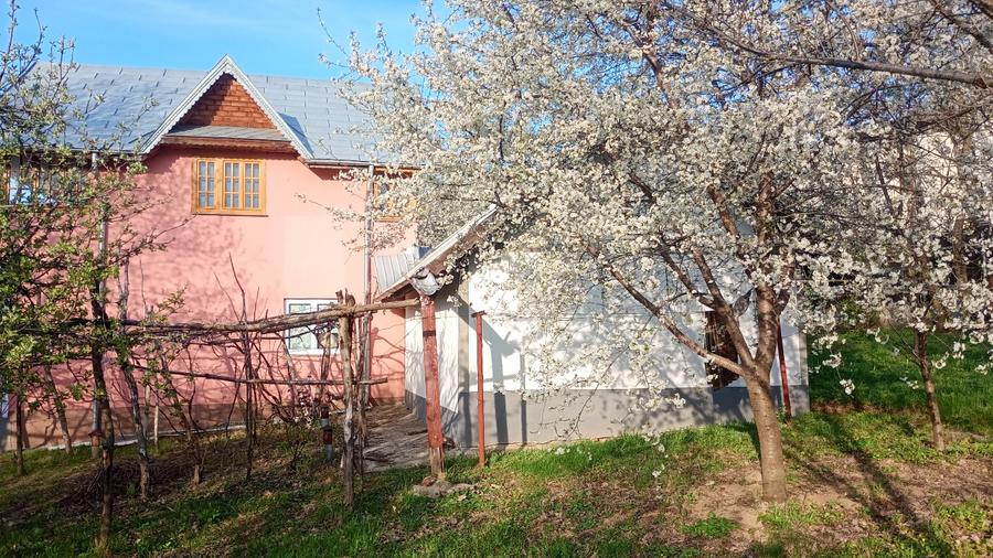 Casă individuală cu 3 camere cu Teren 2000 Mp în Bârnova