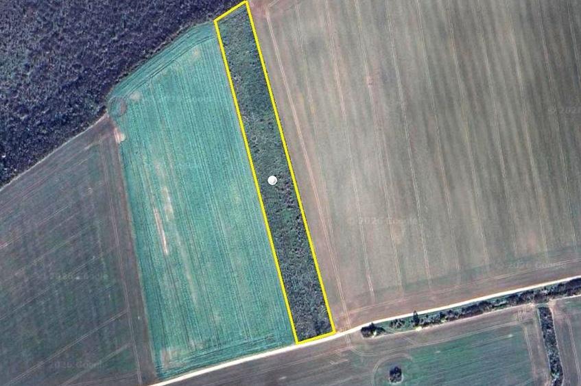 Teren agricol extravilan de 20000 mp, în Ianova