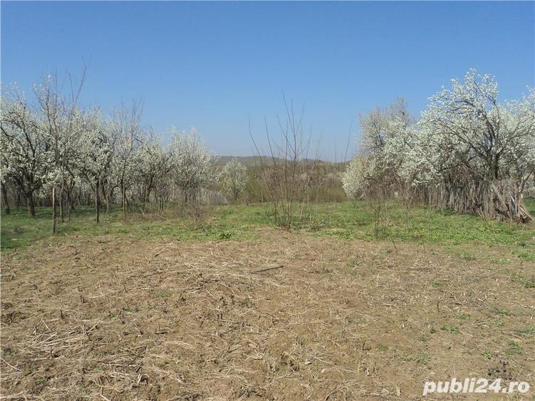 DE VANZARE: Teren - 2.600 mp @ Valenii de Munte, Prahova - 5