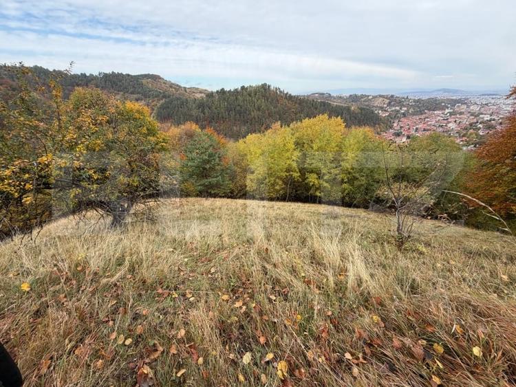 Teren Construcții intravilan de 17684 mp, în Schei