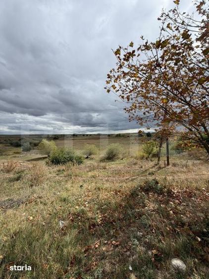 Teren de 6600 mp, în Mihai Viteazu