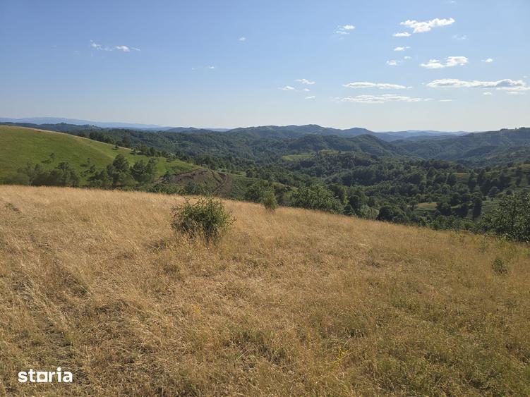 Teren de 150000 mp, în Cerbăl