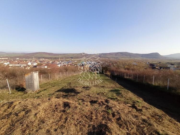 Teren Construcții intravilan de 2700 mp, în Viișoara