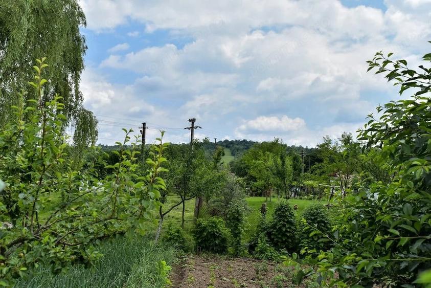 Casă cu 2 camere cu Teren 2453 Mp în Poienari