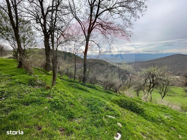Teren de 48428 mp, în Vințu de Jos