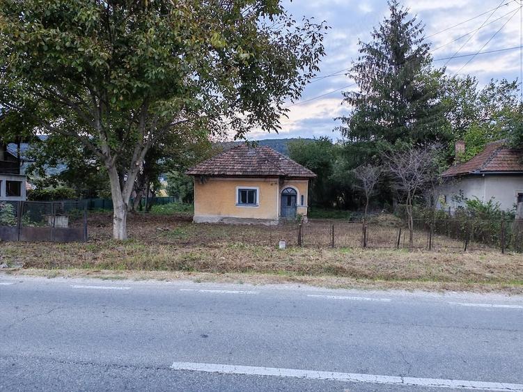 Teren de 5000 mp, în Central