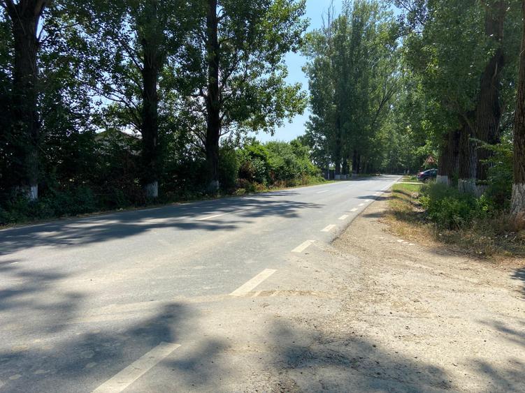 Teren Construcții intravilan de 5000 mp, în Siliștea Snagovului