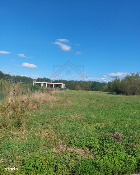 Teren Intravilan\699 Mp, 45 Mp\ Caransebes\ Zona Teius - 3