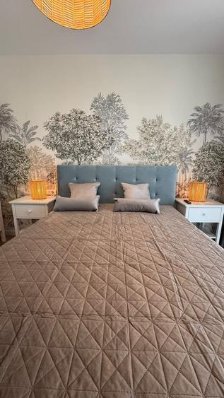 Apartament cu 2 camere, mobilat în Theodor Pallady
