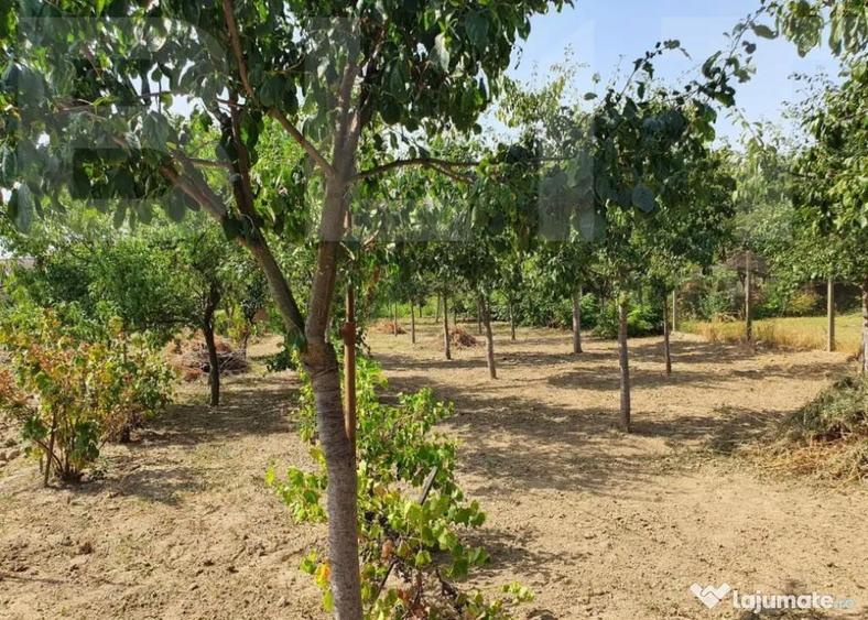 DE VANZARE Casa cu gradina mare in Lugoj - 2