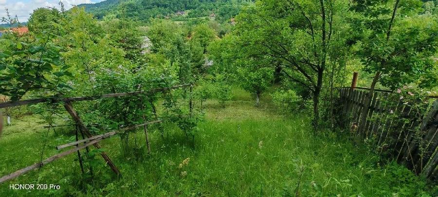 Teren de 800 mp, în Ibănești