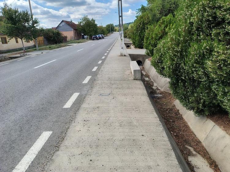Casă cu 3 camere cu Teren 1630 Mp în Copăcele