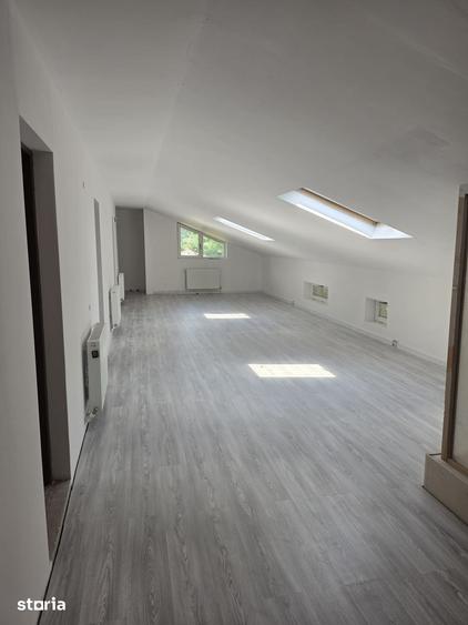 Casă cu 7 camere cu Teren 3000 Mp în Ileana