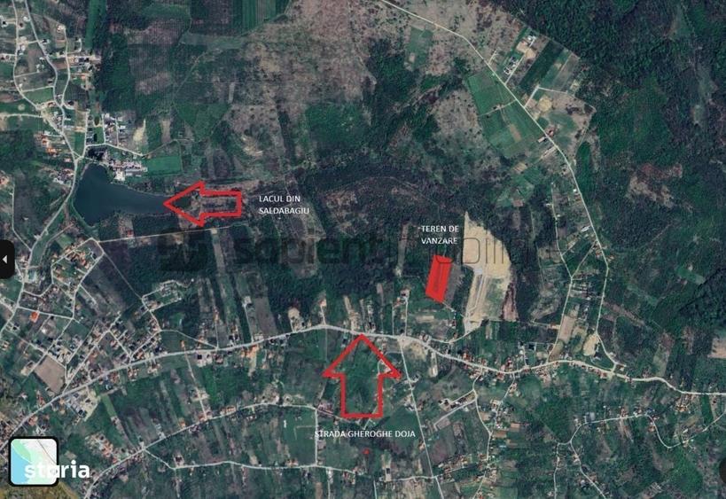 Sapient | Teren extravilan in Saldabagiu de Munte 4.316 mp - 5