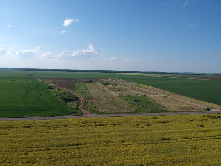 Teren Construcții intravilan de 4750 mp, în Frumușani