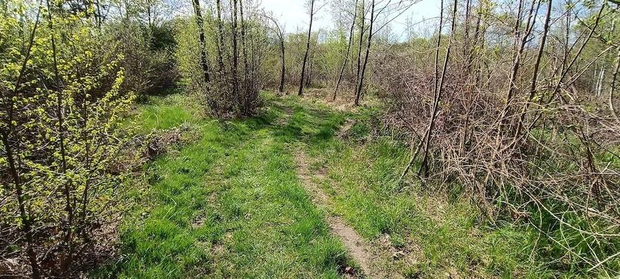 Teren de 8864 mp, în Voislova