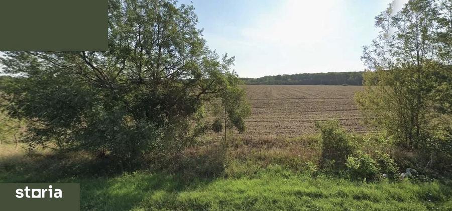 Teren de 7500 mp, în Ciolpani