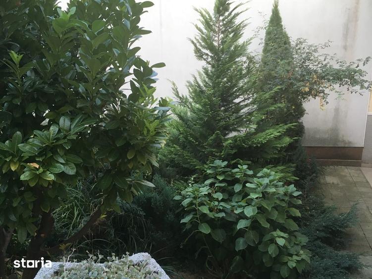 Casă cu 3 camere decomandat cu Teren 311 Mp în Central