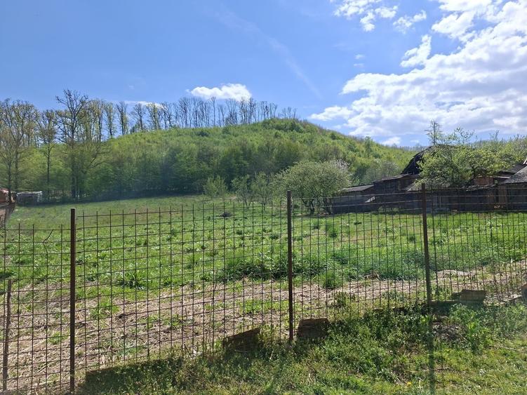 Casă cu 2 camere în Central
