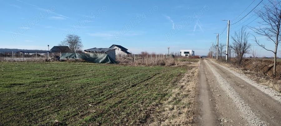 Teren de 700 mp, în Odăile