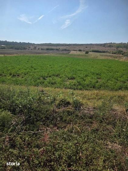 Teren de 4200 mp, în Crângu
