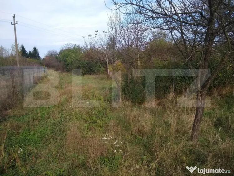 Teren de 4170 mp, în Bercu Roșu