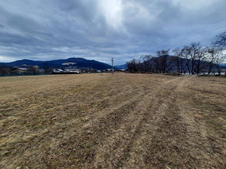 Teren Construcții intravilan de 2045 mp, în Alexandru cel Bun