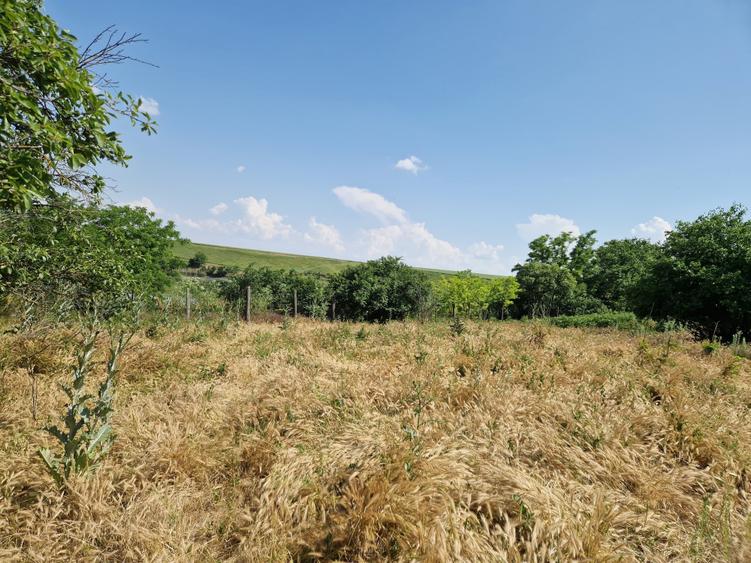 Teren Construcții intravilan de 532 mp, în Polcești