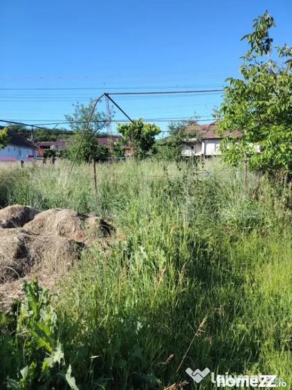 Casă cu 2 camere cu Teren 3750 Mp în Ceanu Mare