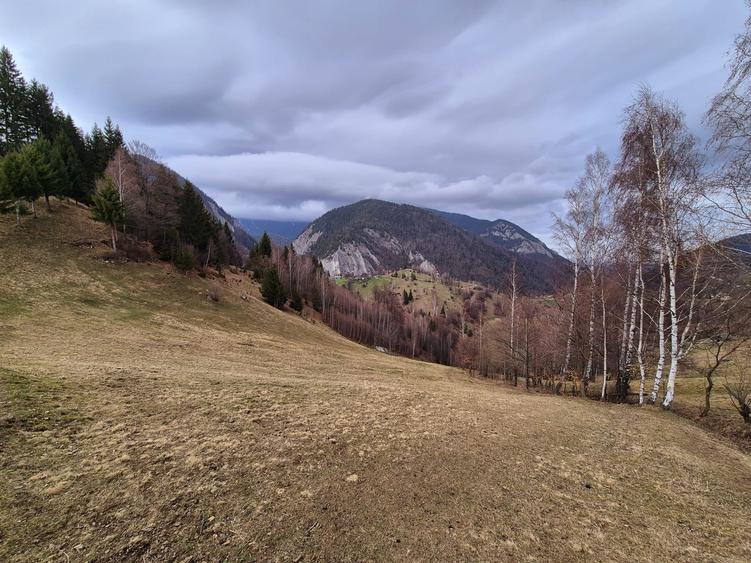 Teren agricol extravilan de 13570 mp, în Peștera
