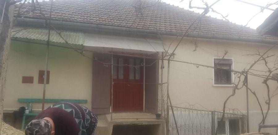 Casă cu 3 camere în Drighiu