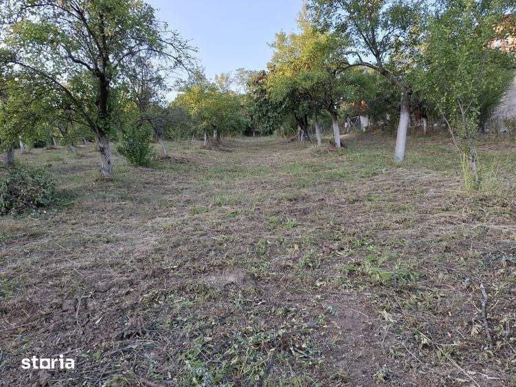 Teren de 1500 mp, în Berislăvești